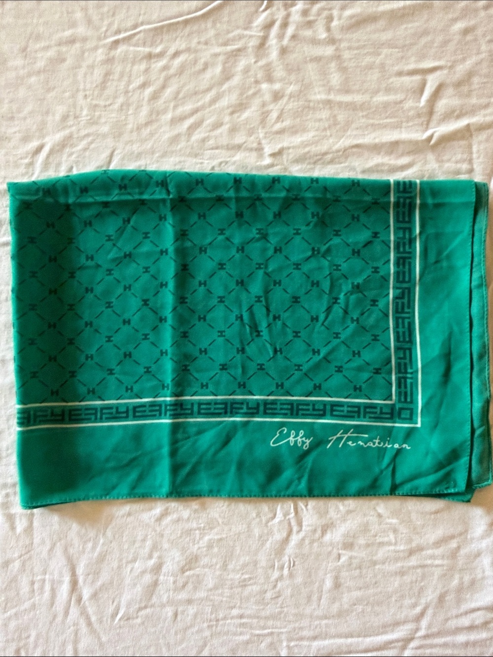 Effy Hematian Jewelry Signature Scarf- Teal Turquoise 18.5x58 Logo